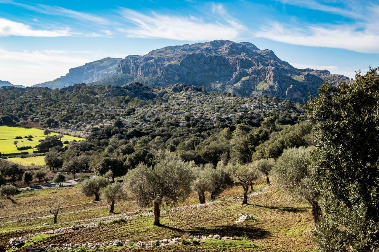 Agroturismo Son Alzines Villa Lluc Dış mekan fotoğraf